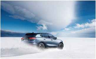 天際汽車ceo張海亮 我和德國人吵架 吵出了 極致的產品和服務